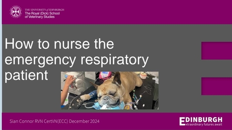 Thumbnail for Nurses Clinical Club - Sian Connor - 11th December 2024