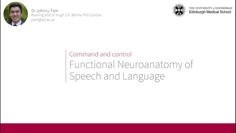 Thumbnail for Command &amp; control - Functional neuroanatomy of speech and language