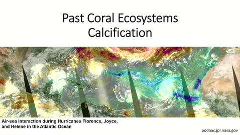 Thumbnail for entry Coral Calcification
