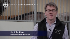 Thumbnail for entry John Keen - Equine Internal Medicine - Research In A Nutshell - Royal (Dick) School of Veterinary Studies -16/10/2012
