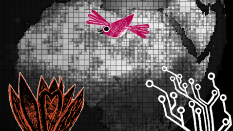 Thumbnail for Araba Sey: Connections and disconnections in technological visions for development in sub-Saharan Africa