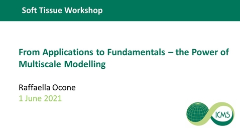 Thumbnail for From Applications to Fundamentals –the Power of Multiscale Modelling - Raffaella Ocone
