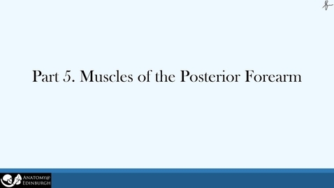 Thumbnail for Video 5. Muscles of the Posterior Forearm