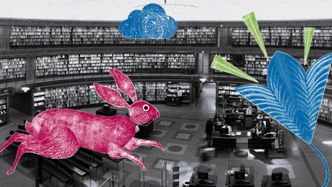 Thumbnail for Joshua Travis Brown: How competition catalyzed innovation and set the stage for the collapse of American higher education