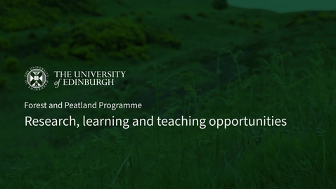 Thumbnail for Forest and peatland programme: research, learning and teaching opportunities