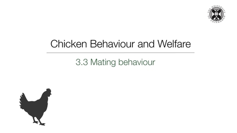 Thumbnail for Week 3:  3.3 Mating Behaviour