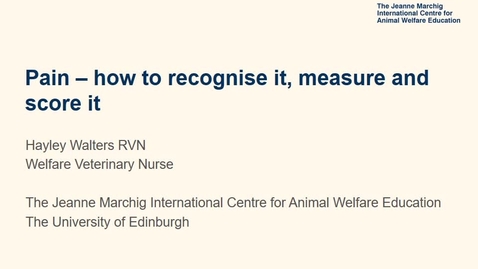 Thumbnail for entry Pain Lecture - how to recognise it, measure  and score it