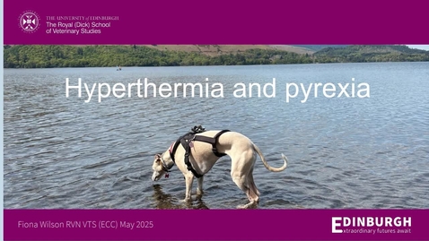 Thumbnail for Nurses Clinical Club Session 2025 - 28th May Fiona Wilson
