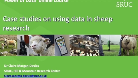 Thumbnail for entry Case studies on using data in sheep research