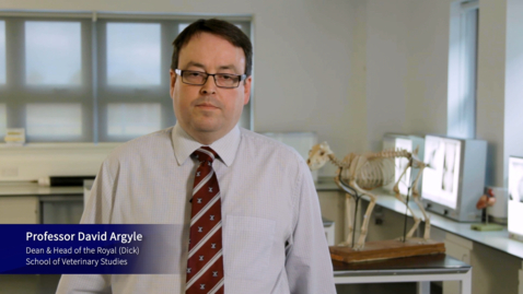 Thumbnail for EDIVET: Do you have what it takes to be a veterinarian? (Trailer)