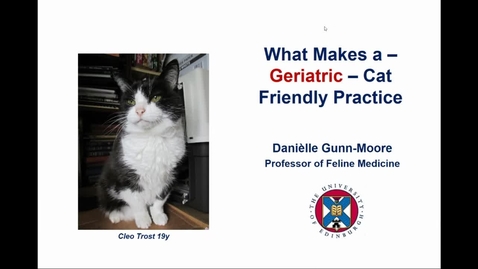 Thumbnail for Clinical Club 5th May 2021 - Improving geriatric cat care in the clinic &amp; at home