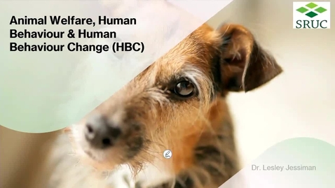 Thumbnail for entry Animal Welfare, Human Behaviour &amp; Behaviour Change