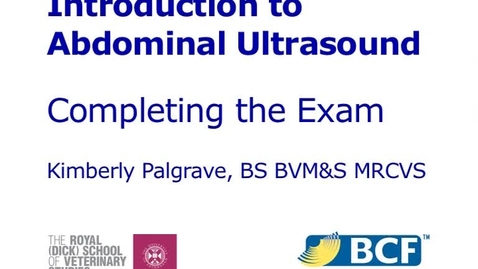 Thumbnail for entry Abdominal Ultrasound Video 9 - Completing the abdominal ultrasound exam