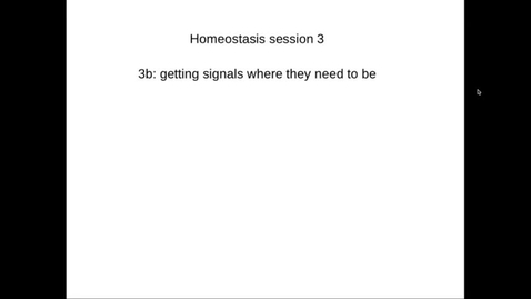 Thumbnail for entry MBChB1 Homeostasis Lec3b (Captioned)