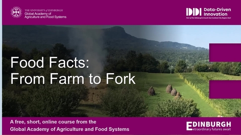 Thumbnail for Food Facts Introduction