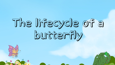 Thumbnail for entry Idea Starters: The lifecycle of a butterfly