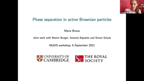 Thumbnail for entry Maria Bruna, University of Cambridge