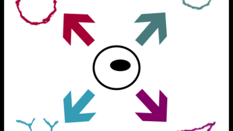 Thumbnail for entry Cell differentiation: When DNA met Sall4 with Raphael Pantier and Kashyap Chhatbar