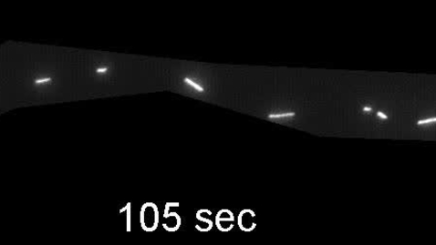 Thumbnail for Film 1b - damaged motor neuron with the C9orf72 gene time lapse film