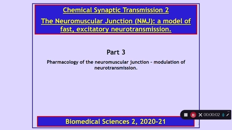 Thumbnail for BMS2: Chemical Synaptic Transmission 2 Part 3 Dr Phil Larkman
