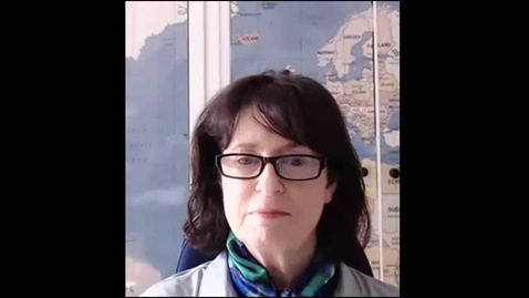 Thumbnail for Tiger Industries - GCAS Employer Interview