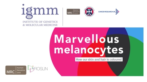 Thumbnail for entry Inaugural lecture: Marvellous Melanocytes - How our skin and hair is coloured