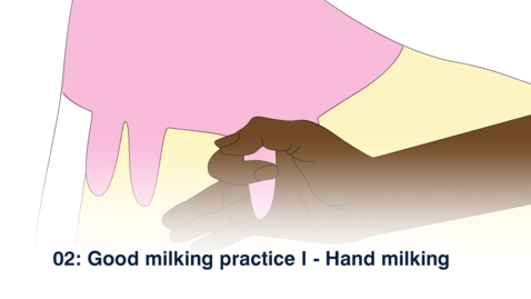 Thumbnail for entry 02 Good Milking Practice I - Hand Milking - Oromiya