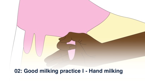 Thumbnail for 02 Good Milking Practice I - Hand Milking - Oromiya