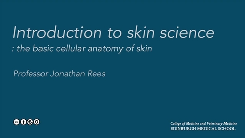 Thumbnail for Skin biology: the  basic cellular anatomy