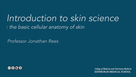 Thumbnail for entry Skin biology: the  basic cellular anatomy