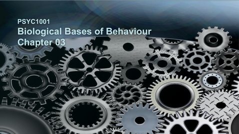 Thumbnail for 2015 PSYC 1001 CH3 A PSYC 2015