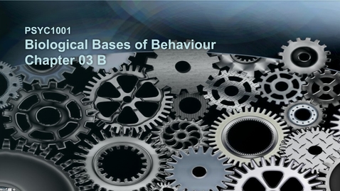 Thumbnail for 2015 PSYC 1001 CH3 B PSYC 2015