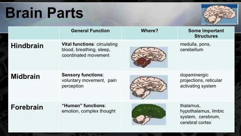 Thumbnail for 2014_Psyc_1001_CH3_C- MC 720p
