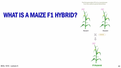 Thumbnail for BIOL 1010 2024 Lecture 05 Part 2 01