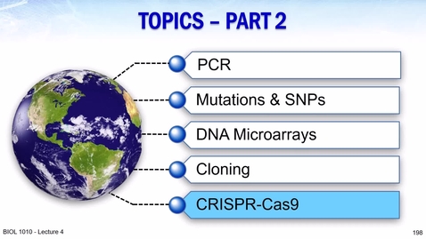 Thumbnail for BIOL 1010 2024 Lecture 04 Part 4 01