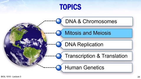 Thumbnail for BIOL 1010 2024 Lecture 03 Part 2 02