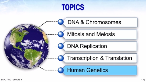 Thumbnail for BIOL 1010 2024 Lecture 03 Part 5  01