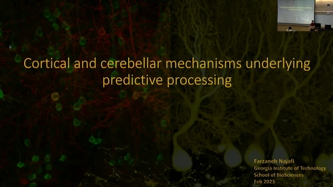 Thumbnail for Farzaneh Najafi - Cortical and cerebellar mechanisms underlying predictive processing
