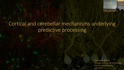 Thumbnail for entry Farzaneh Najafi - Cortical and cerebellar mechanisms underlying predictive processing