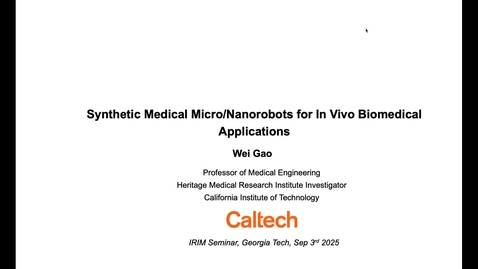 Thumbnail for Wei Gao - Synthetic Medical Micro/Nanorobots for In Vivo Biomedical Applications