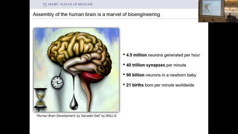 Thumbnail for entry Fikri Birey - In vitro Modeling of Human Cortical Assembly in Health and Disease