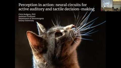 Thumbnail for entry Chris Rodgers - Perception in Action: Neural Circuits for Active Auditory and Tactile Decision-making