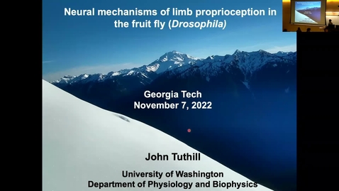 Thumbnail for entry John Tuthill - Neural Mechanisms of Limb Proprioception in the fruit fly (Drosophila)