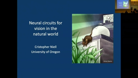Thumbnail for entry Cristopher Niell - Neural circuits for vision in the natural world