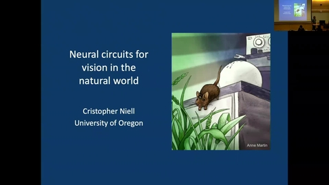 Thumbnail for Cristopher Niell - Neural circuits for vision in the natural world