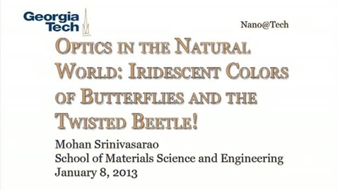 Thumbnail for Optics in the Natural World: Iridescent Colors of Butterflies and the Twisted Beetle! - Mohan Srinivasarao