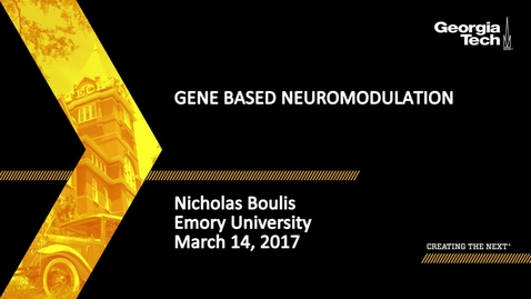 Thumbnail for Gene Based Neuromodulation - Nicholas Boulis