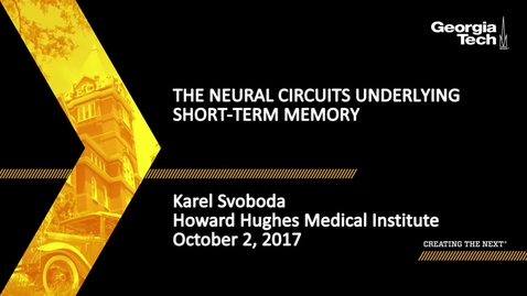 Thumbnail for The Neural Circuits Underlying Short-term Memory - Karel Svoboda