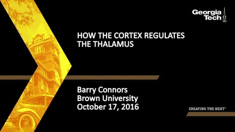 Thumbnail for entry How the Cortex Regulates the Thalamus - Barry Connors