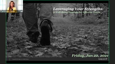 Thumbnail for Leveraging Strengths as a Well-Being Strategy for Effective Teams